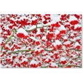 thumbnail image 1 of Trademark Fine Art "Winter Berries in the Snow" Canvas Art by Kurt Shaffer, 1 of 3
