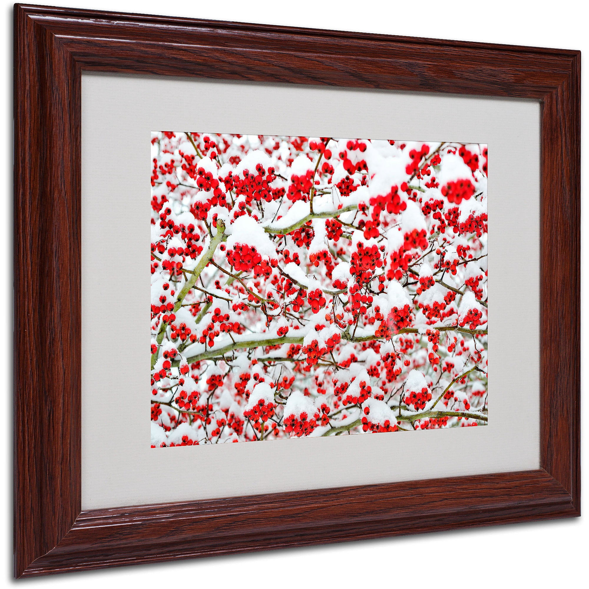 Trademark Fine Art "Winter Berries in the Snow" by Kurt Shaffer, Wood Frame