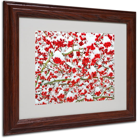Trademark Fine Art "Winter Berries in the Snow" by Kurt Shaffer, Wood Frame