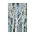 thumbnail image 1 of Trademark Fine Art 'Winter Birches I' Canvas Art by Albena Hristova, 1 of 3