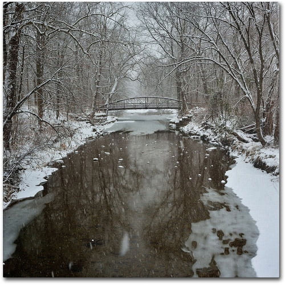 Winter Bridge Snowy Forest Landscape Canvas Art