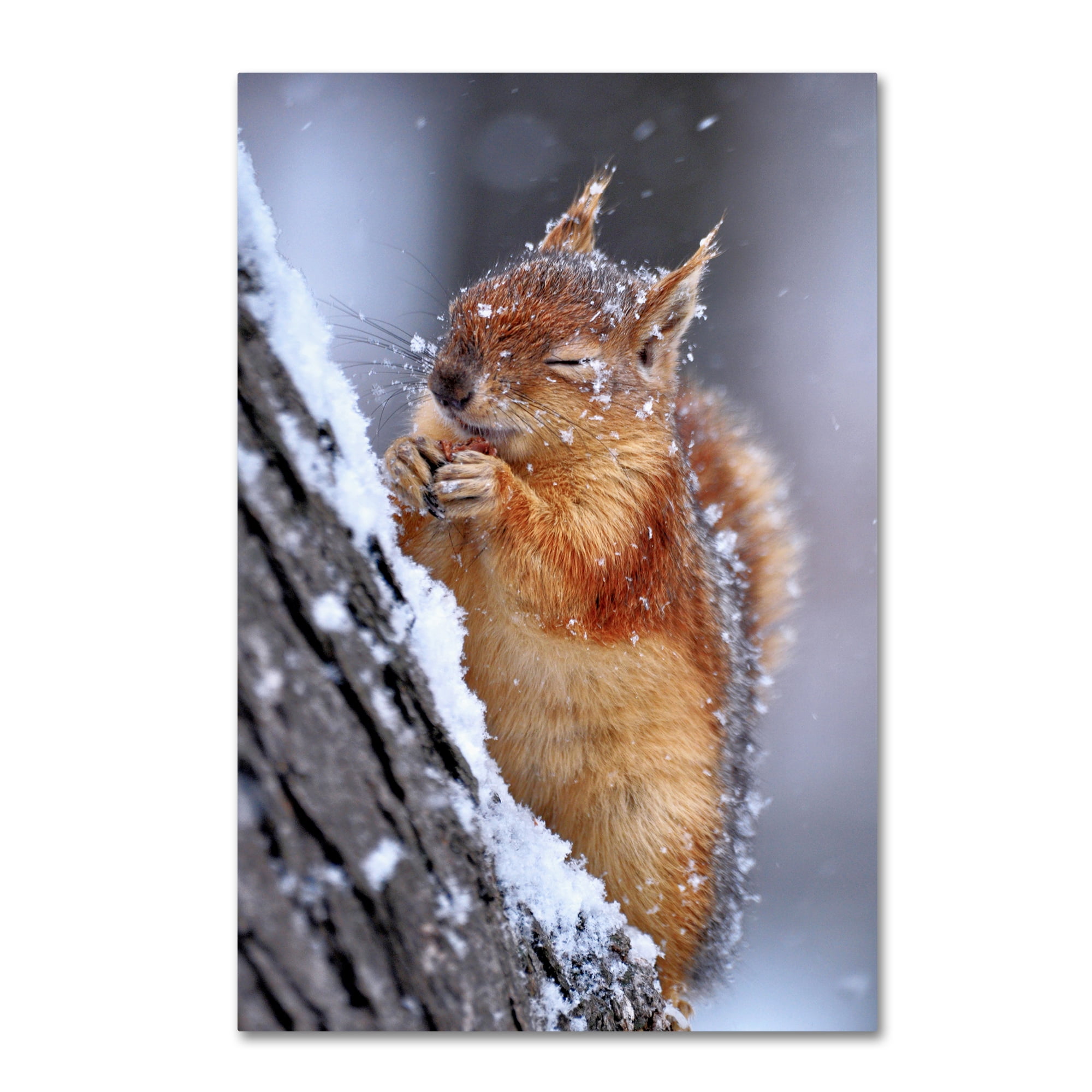 Trademark Fine Art 'Winter' Canvas Art by Ervin Kobakci