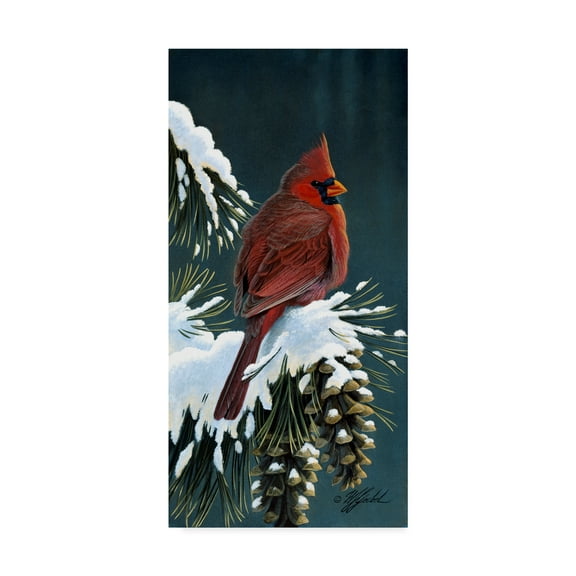 Trademark Fine Art 'Winter Cardinal' Canvas Art by Wilhelm Goebel