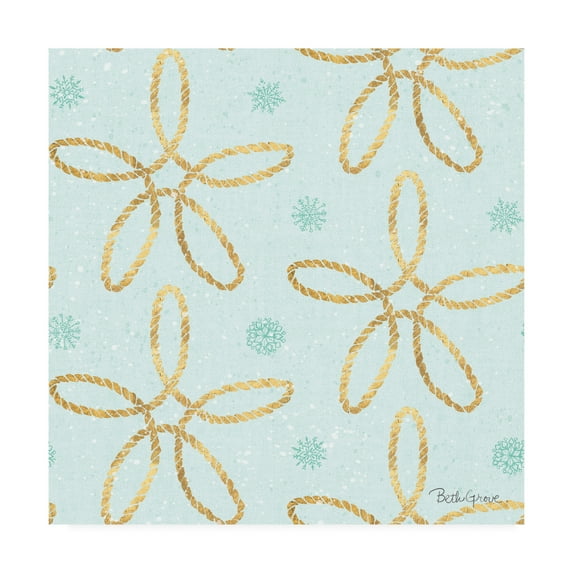 Trademark Fine Art 'Winter Coast Pattern VIIIC' Canvas Art by Beth Grove