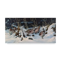 Trademark Fine Art 'Winter Covey Quail' Canvas Art by Wilhelm Goebel