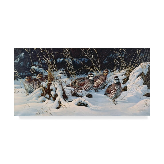 Trademark Fine Art 'Winter Covey Quail' Canvas Art by Wilhelm Goebel
