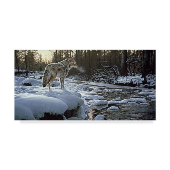 Trademark Fine Art 'Winter Creek Coyote' Canvas Art by Ron Parker