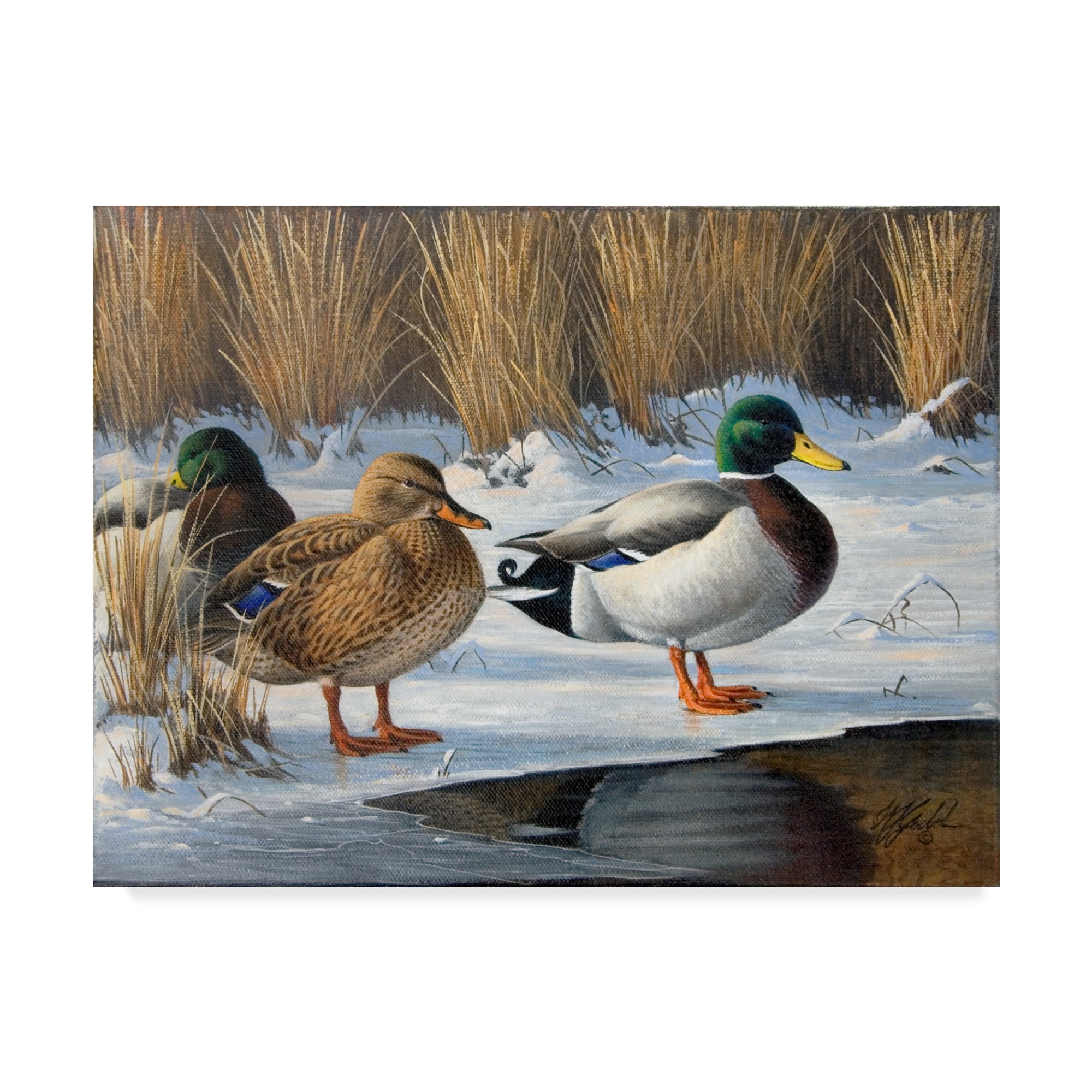 Trademark Fine Art 'Winter Ducks' Canvas Art by Wilhelm Goebel