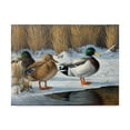 thumbnail image 1 of Trademark Fine Art 'Winter Ducks' Canvas Art by Wilhelm Goebel, 1 of 3