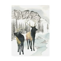 Trademark Fine Art 'Winter Elk II' Canvas Art by Grace Popp