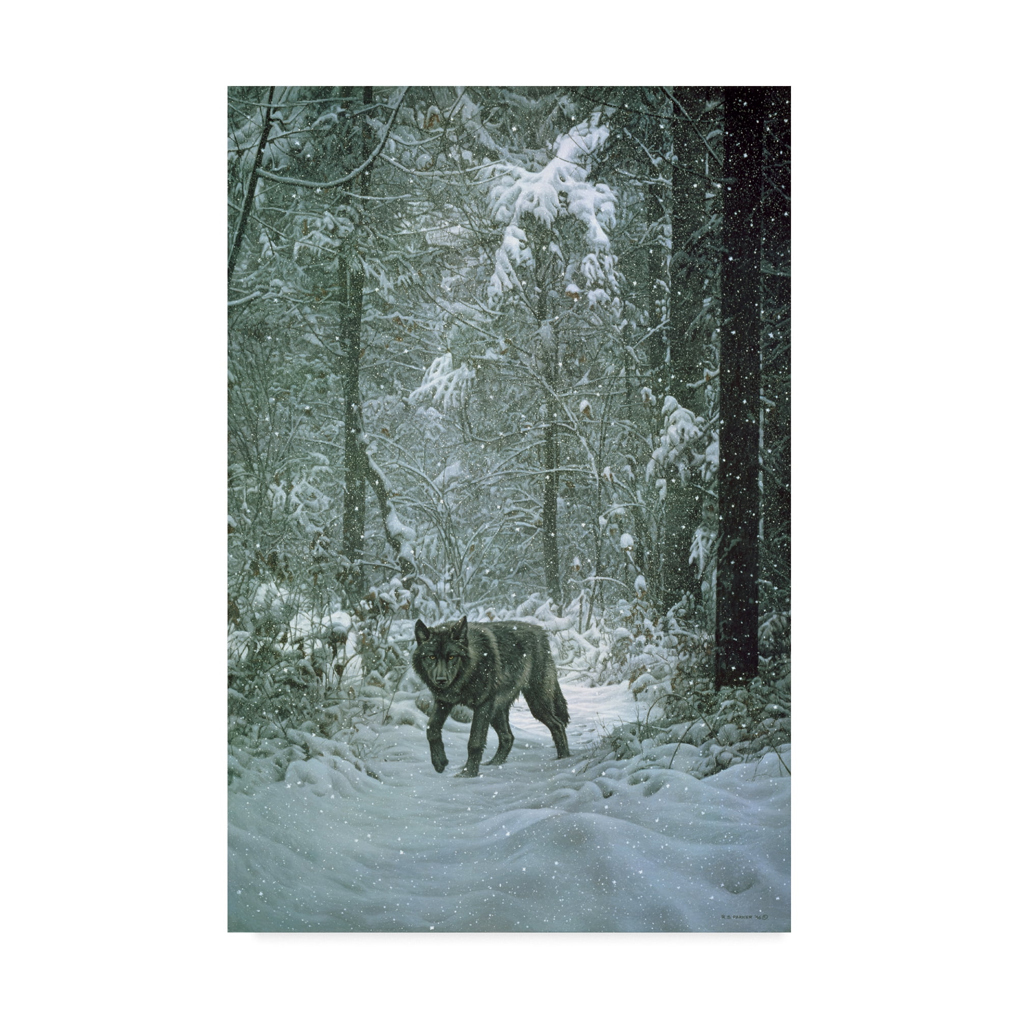 Winter Encounter Wolf Gallery-Wrapped Canvas Art in Black and White