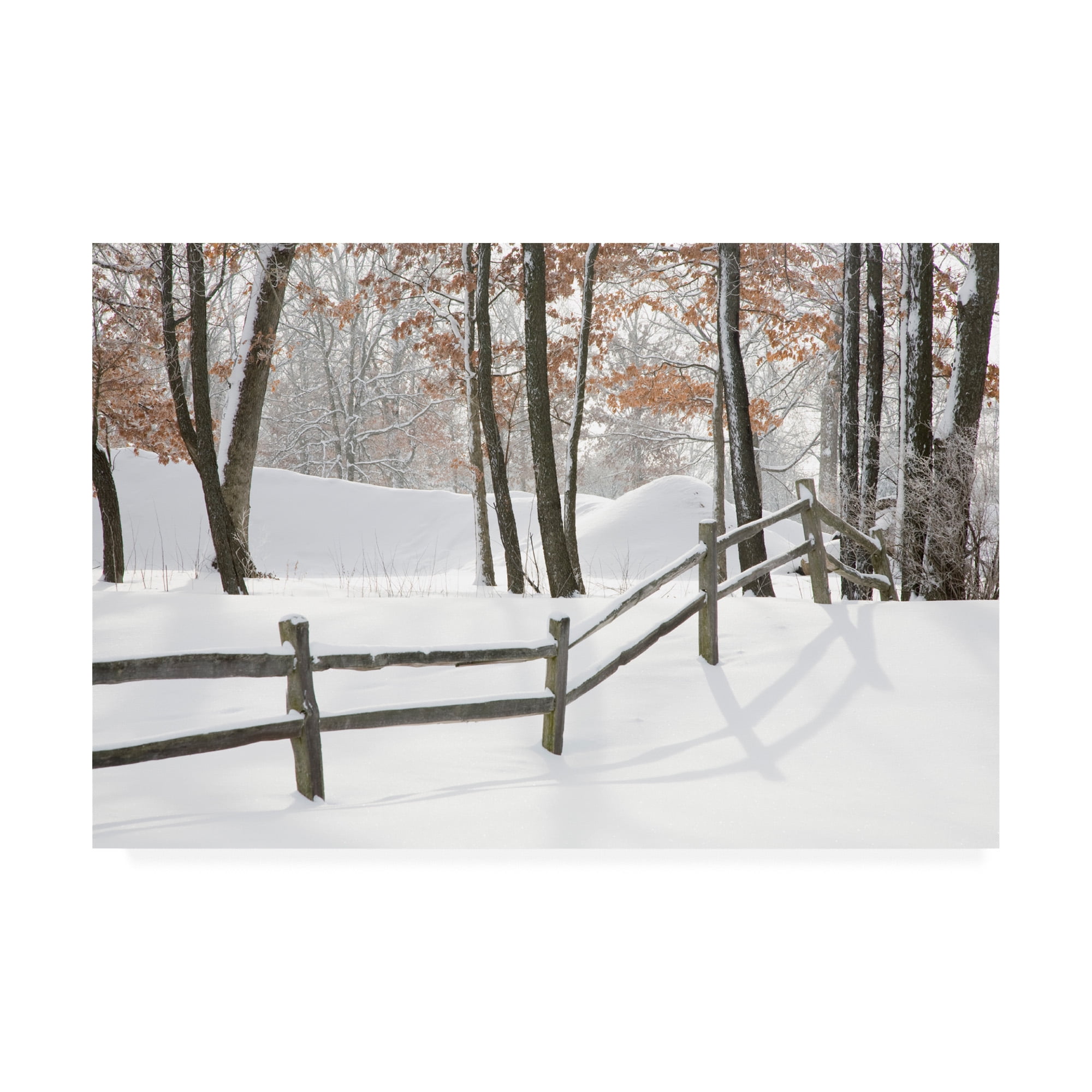 Large White and Tan Winter Landscape Canvas Print