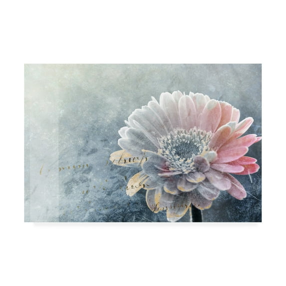 Trademark Fine Art 'Winter Flower' Canvas Art by Incado