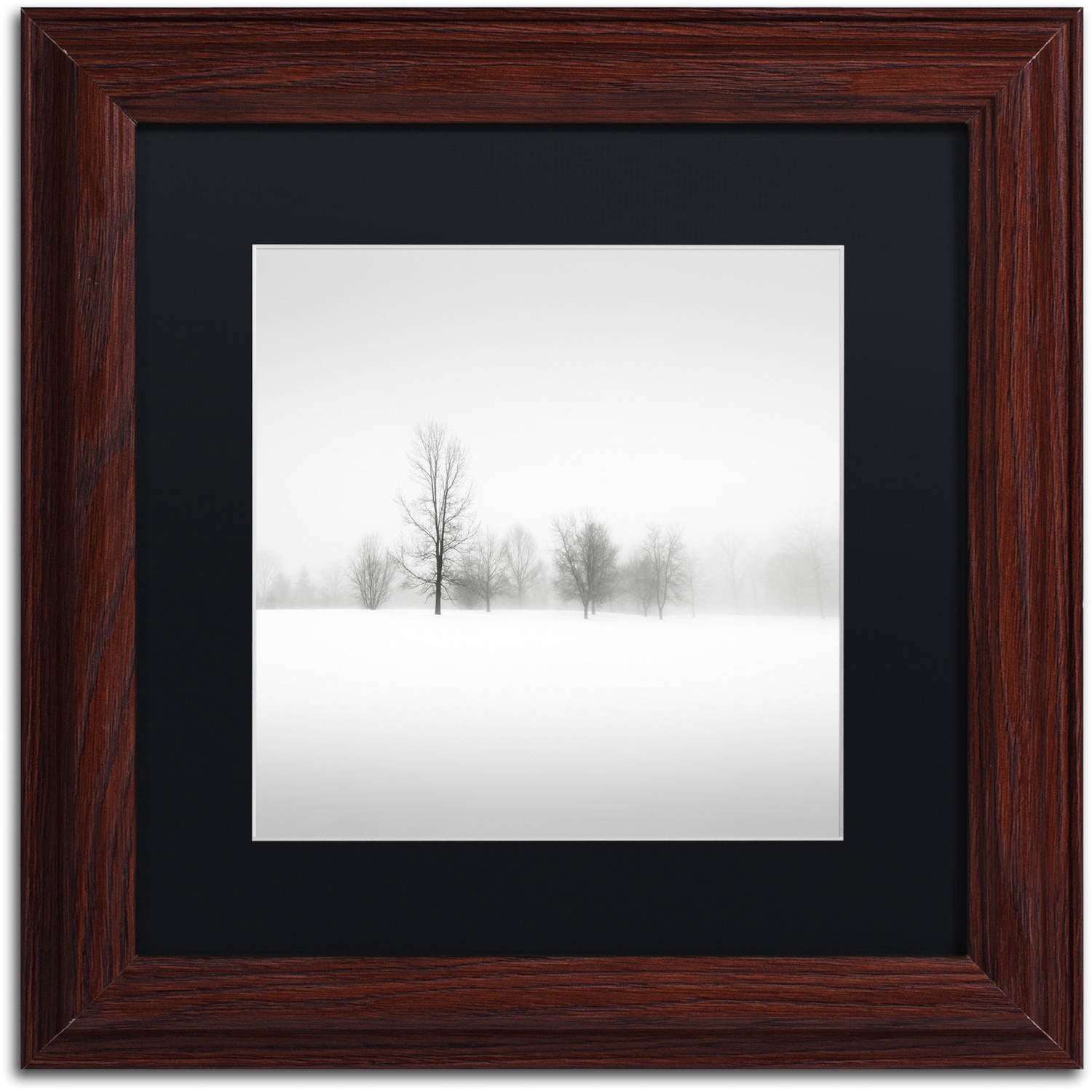 Trademark Fine Art "Winter Fog" Canvas Art by Dave MacVicar, Black Matte, Wood Frame