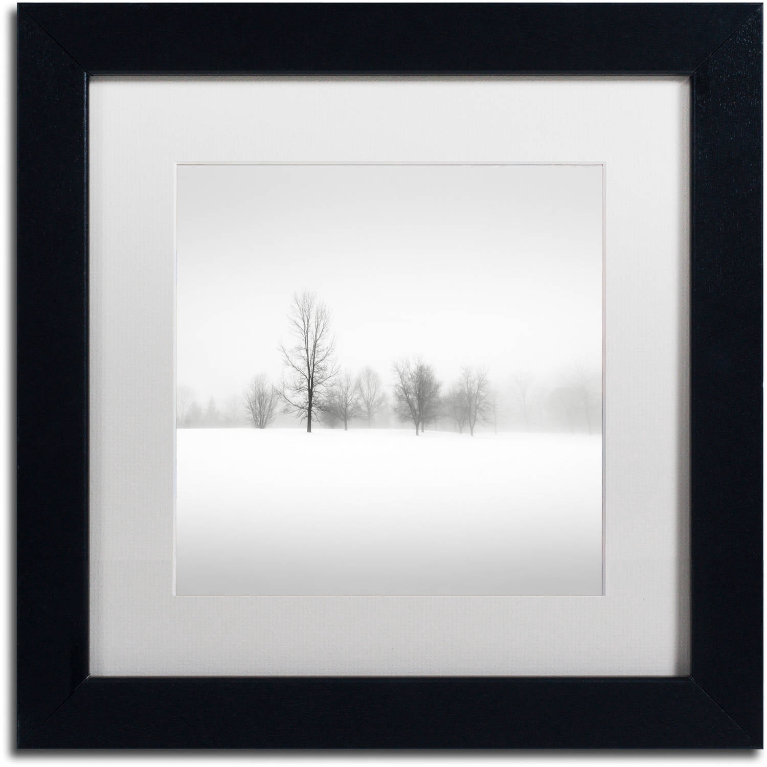 Trademark Fine Art "Winter Fog" Canvas Art by Dave MacVicar, White Matte, Black Frame