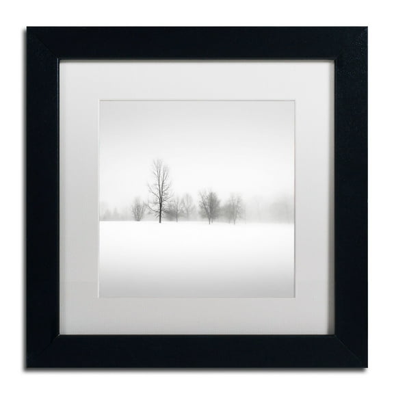 Trademark Fine Art "Winter Fog" Canvas Art by Dave MacVicar, White Matte, Black Frame