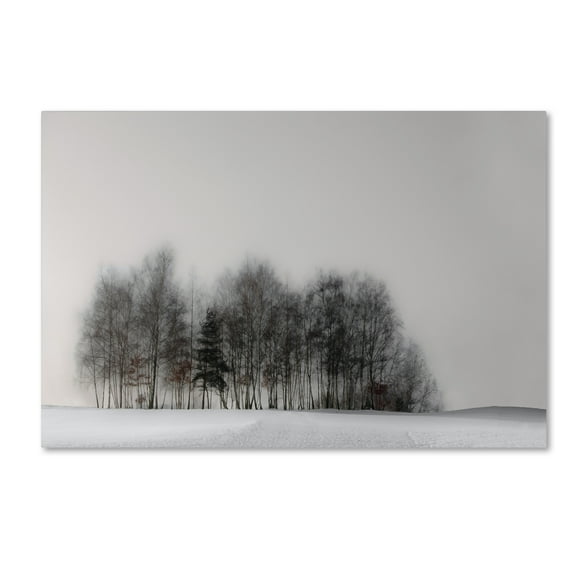 Trademark Fine Art 'Winter Forest' Canvas Art by Gilbert Claes