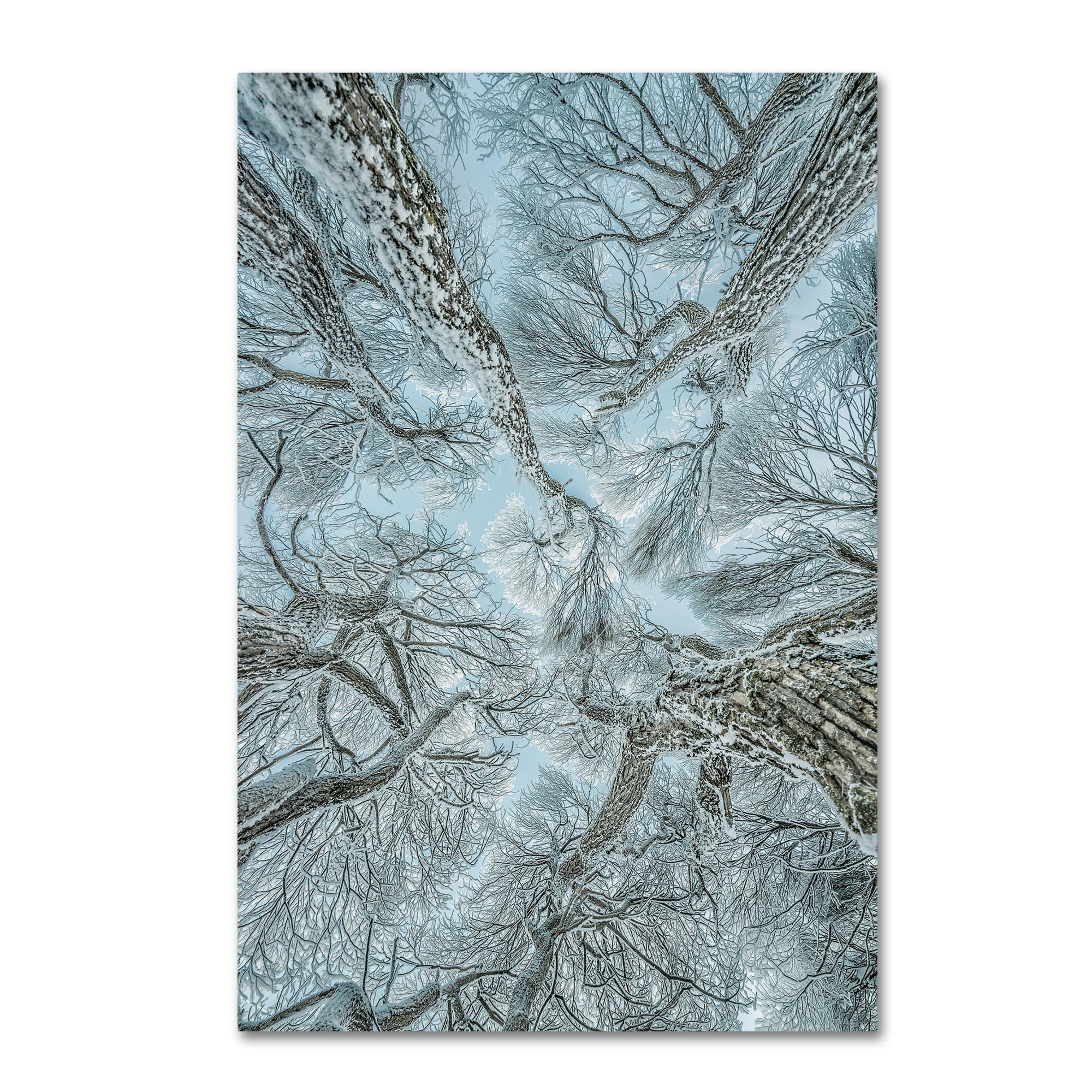Trademark Fine Art 'Winter Frost' Canvas Art by Petri Damstï¿½n