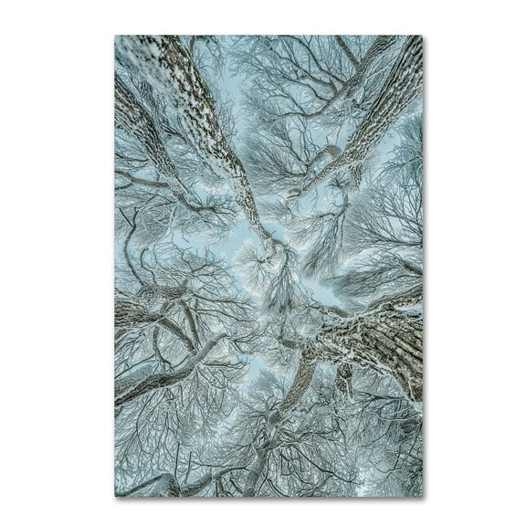 Trademark Fine Art 'Winter Frost' Canvas Art by Petri Damstï¿½n