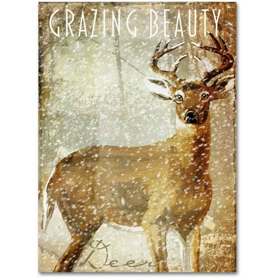 Trademark Fine Art "Winter Game Two" Canvas Art by Color Bakery