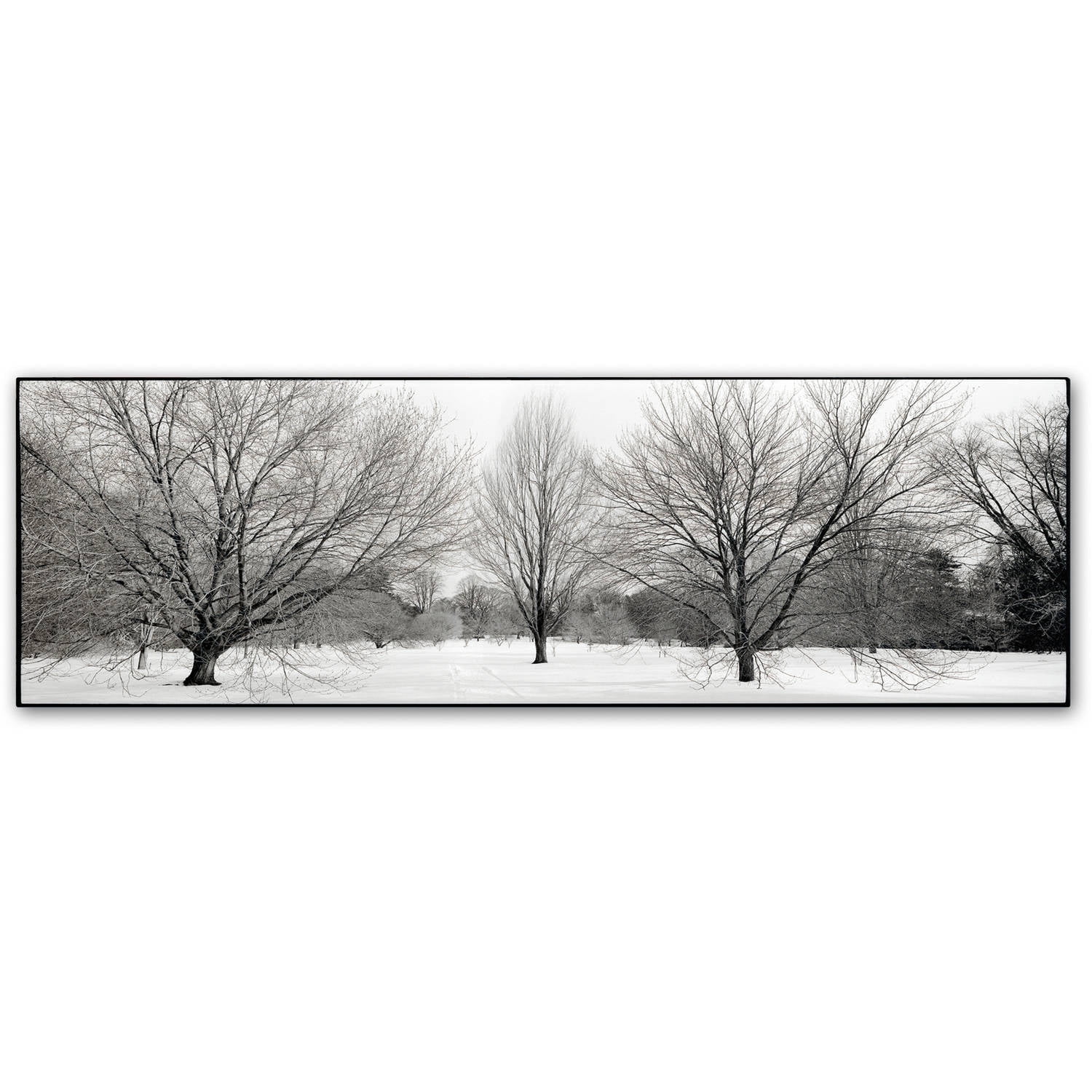 Trademark Fine Art "Winter Garden I" Canvas Art by Alan Blaustein