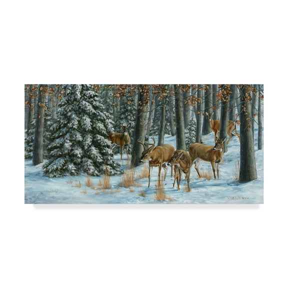 Trademark Fine Art 'Winter Gathering' Canvas Art by Carolyn Mock
