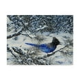 thumbnail image 1 of Trademark Fine Art 'Winter Jay' Canvas Art by Jeff Tift, 1 of 3