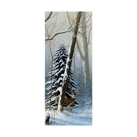 Trademark Fine Art 'Winter Light, Buck' Canvas Art by Michael Budden
