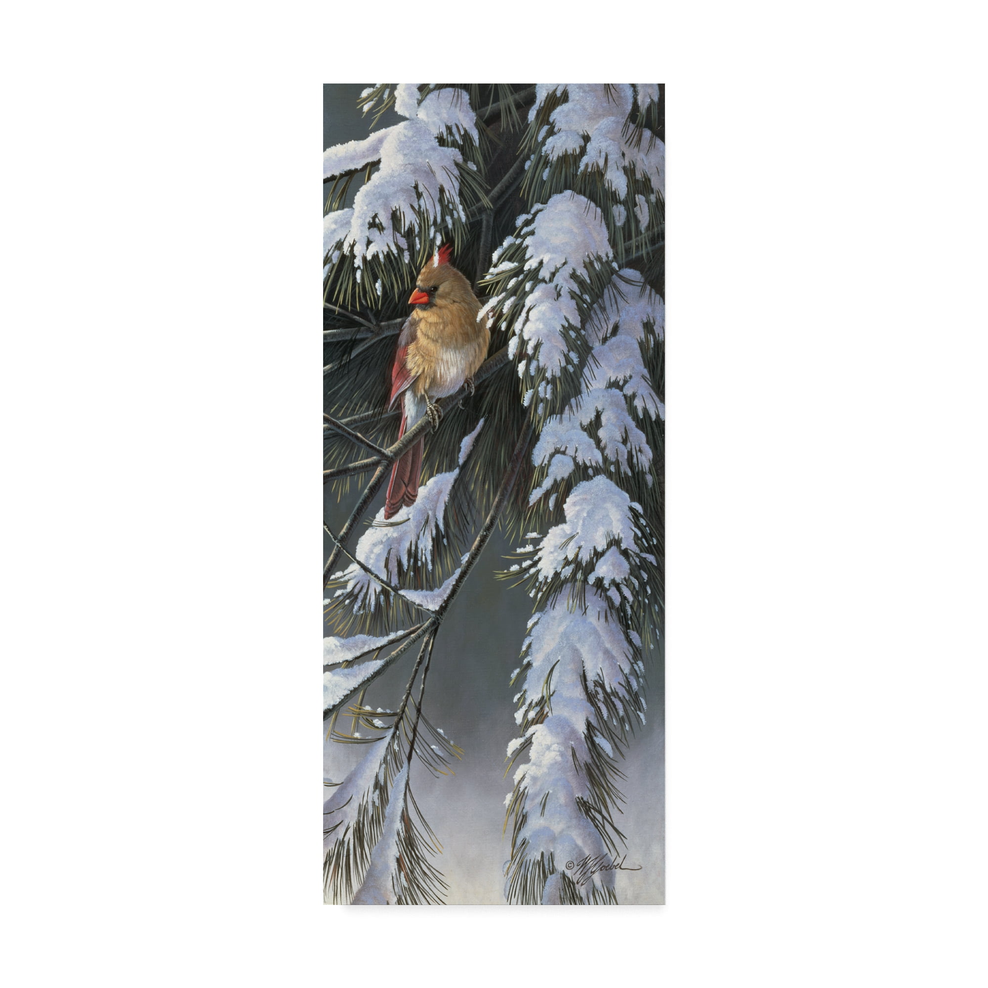 Trademark Fine Art 'Winter Light' Canvas Art by Wilhelm Goebel