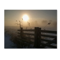 Trademark Fine Art 'Winter Mood' Canvas Art by Alida Van Zaane
