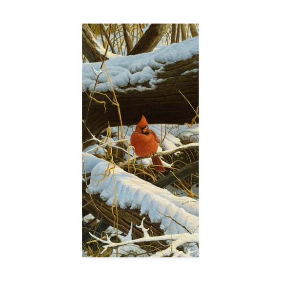 Trademark Fine Art 'Winter Playground Cardinal' Canvas Art by Michael Budden