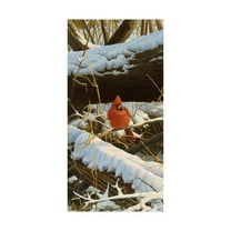 Trademark Fine Art 'Winter Playground Cardinal' Canvas Art by Michael Budden