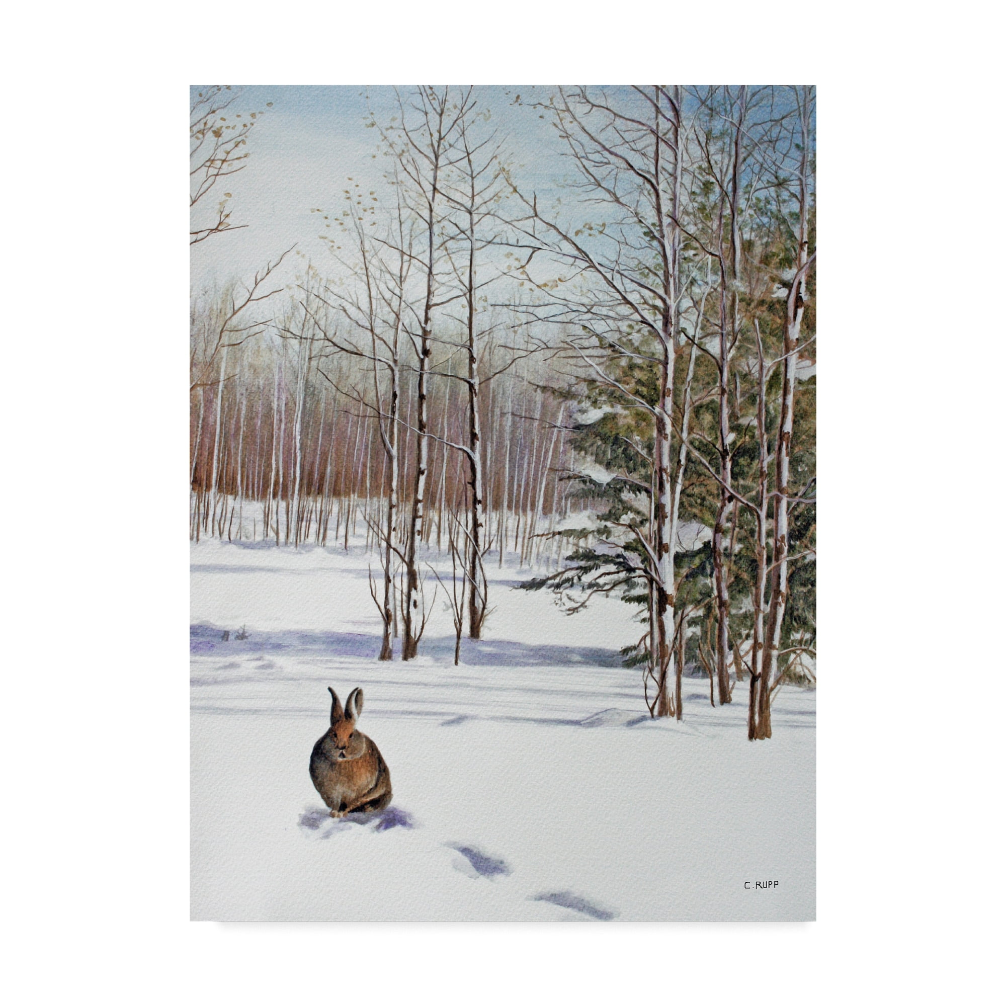 Trademark Fine Art 'Winter Rabbit' Canvas Art by Carol J Rupp