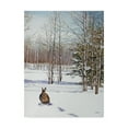 thumbnail image 1 of Trademark Fine Art 'Winter Rabbit' Canvas Art by Carol J Rupp, 1 of 3