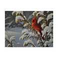 thumbnail image 1 of Trademark Fine Art 'Winter Red Cardinal' Canvas Art by Wilhelm Goebel, 1 of 3