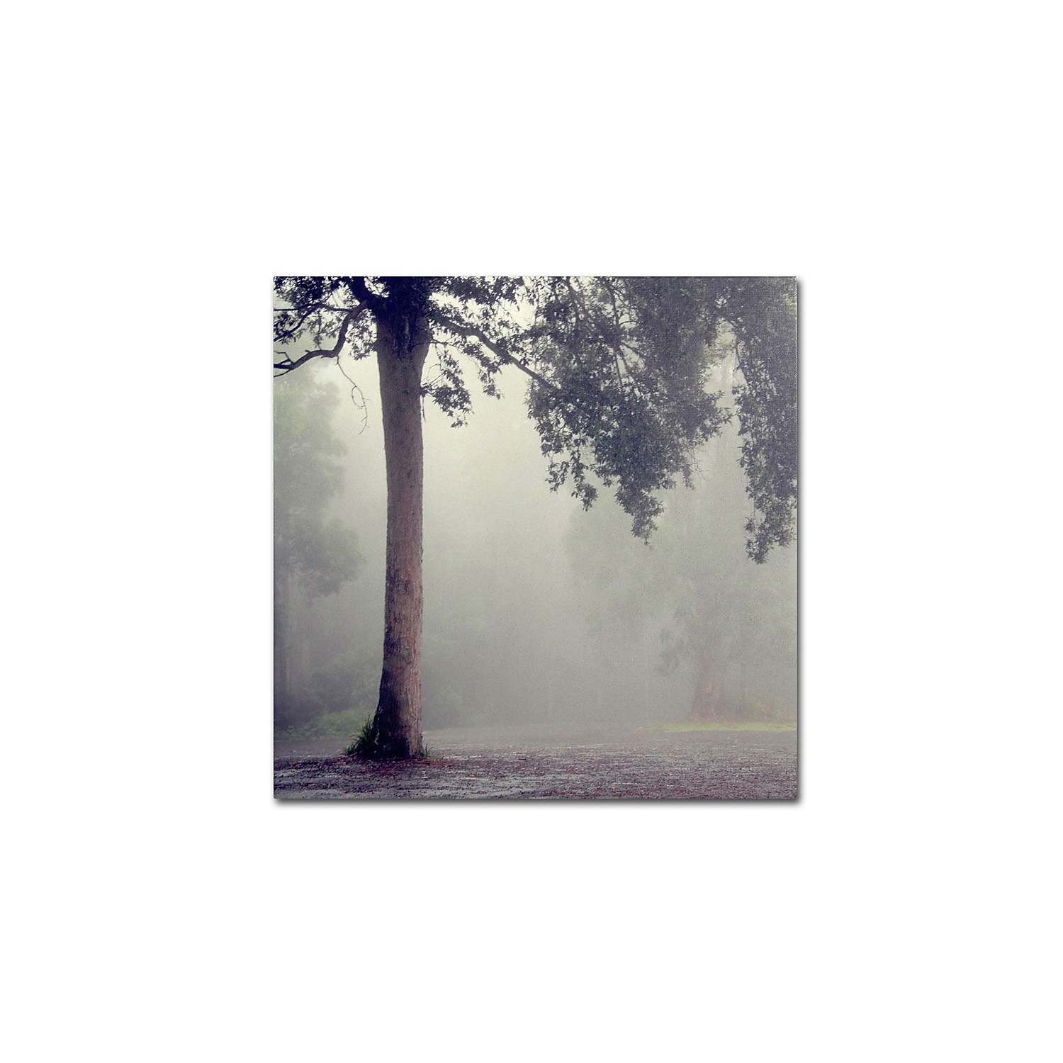 Winter Romance Framed Canvas Art in Misty Landscape
