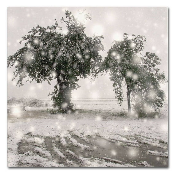 Trademark Fine Art "Winter Romance" Canvas Art by Beata Czyzowska Young