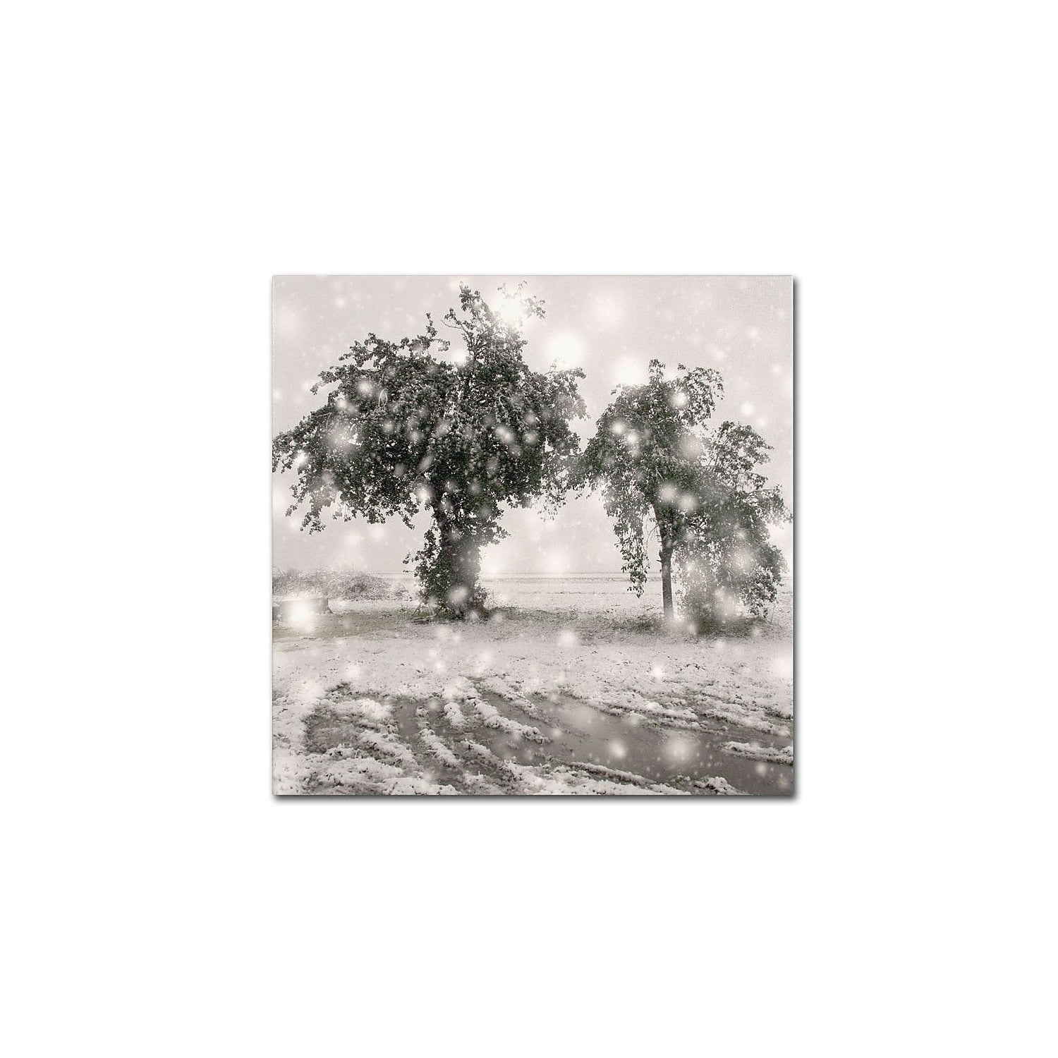 Trademark Fine Art "Winter Romance" Canvas Art by Beata Czyzowska Young