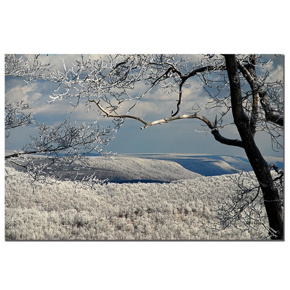 Trademark Fine Art "Winter Scene" Canvas Art by Lois Bryan