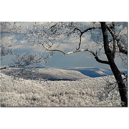 Trademark Fine Art "Winter Scene" Canvas Art by Lois Bryan
