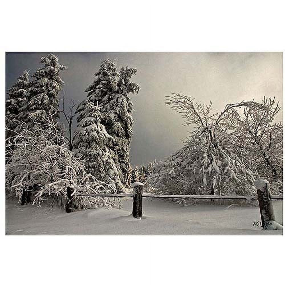 Trademark Fine Art "Winter Scene II" Canvas Art by Lois Bryan