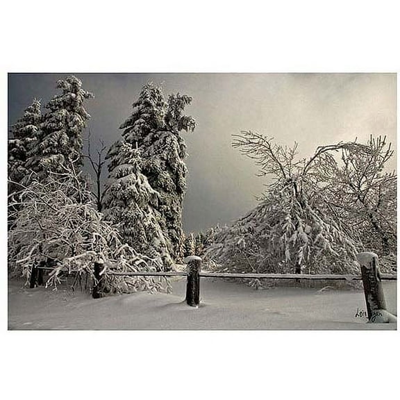 Trademark Fine Art "Winter Scene II" Canvas Art by Lois Bryan