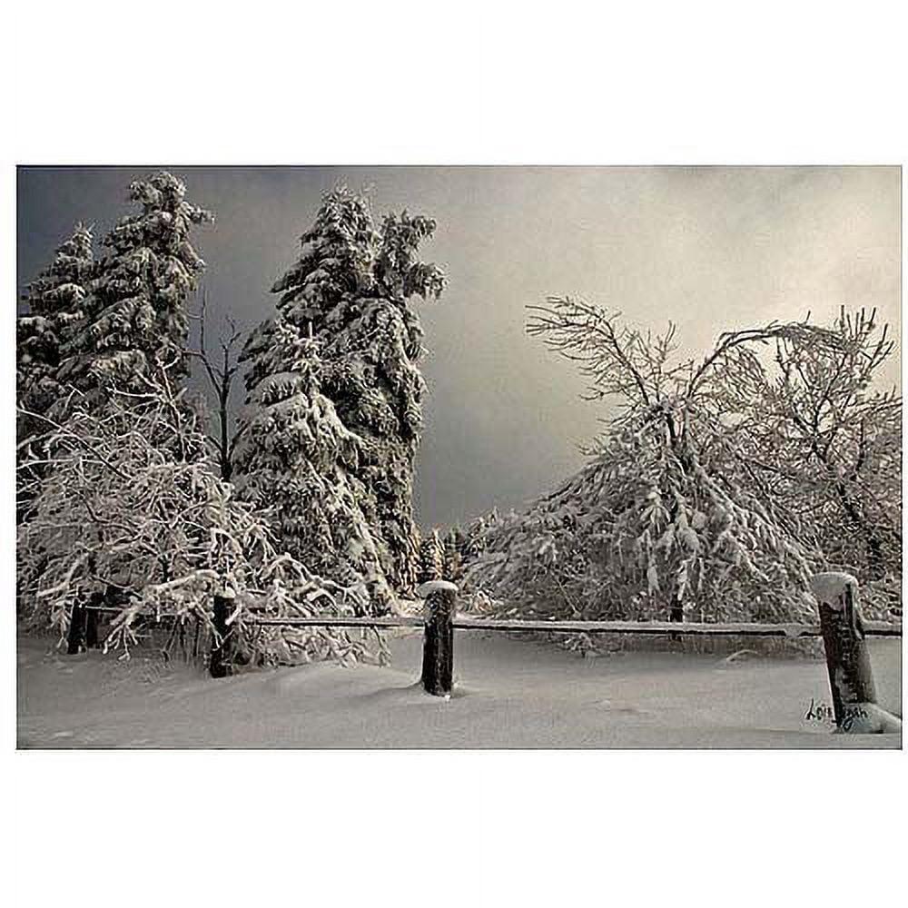Trademark Fine Art "Winter Scene II" Canvas Art by Lois Bryan