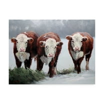Trademark Fine Art 'Winter Shadows Cows' Canvas Art by Carolyne Hawley