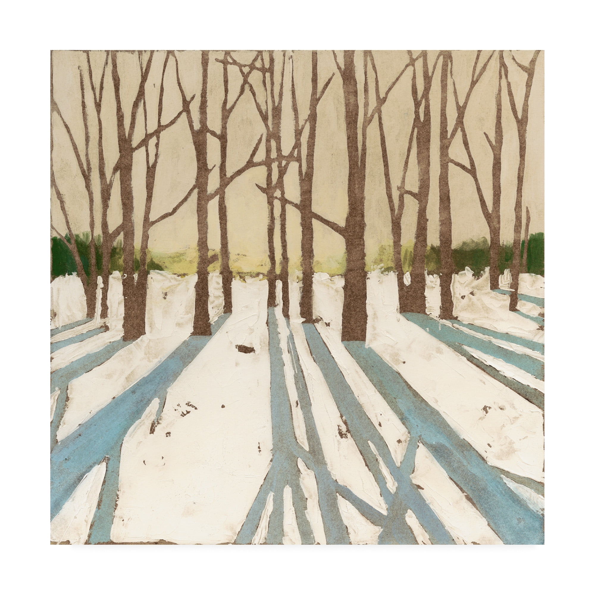 Trademark Fine Art 'Winter Shadows II' Canvas Art by Megan Meagher
