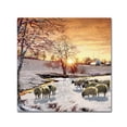 thumbnail image 1 of Trademark Fine Art 'Winter Sheep II' Canvas Art by The Macneil Studio, 1 of 3