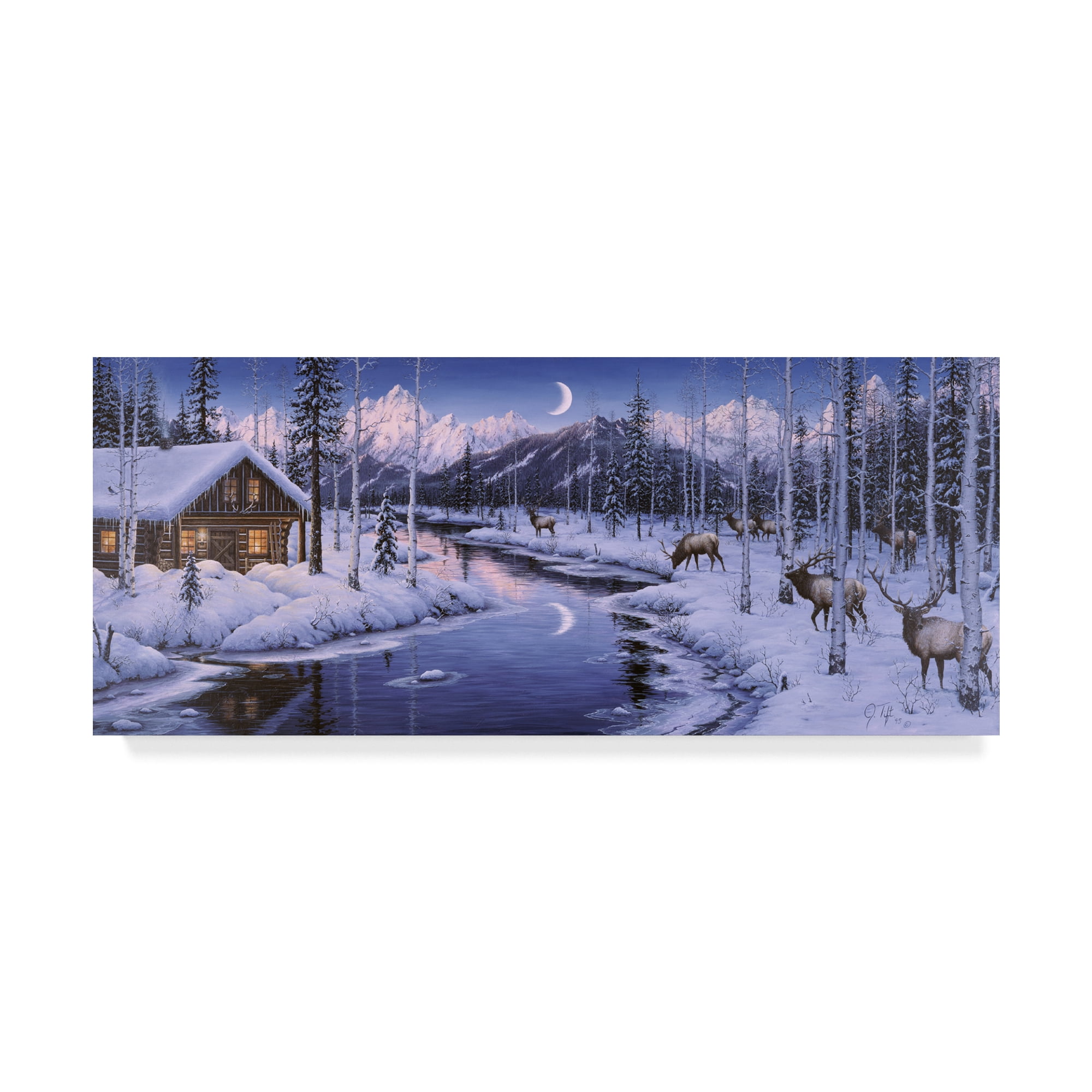Trademark Fine Art 'Winter Silence' Canvas Art by Jeff Tift