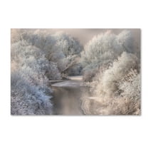 Trademark Fine Art 'Winter Song' Canvas Art by Sebestyen Bela