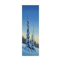 Trademark Fine Art 'Winter Spruce' Canvas Art by Ron Parker