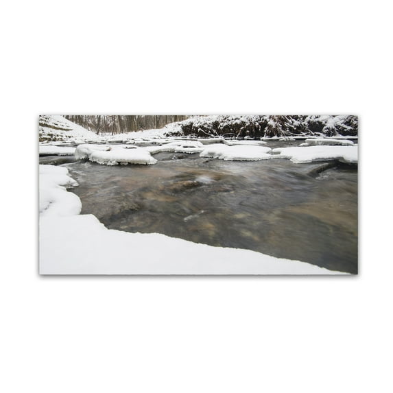 Trademark Fine Art 'Winter Streaming' Canvas Art by Kurt Shaffer